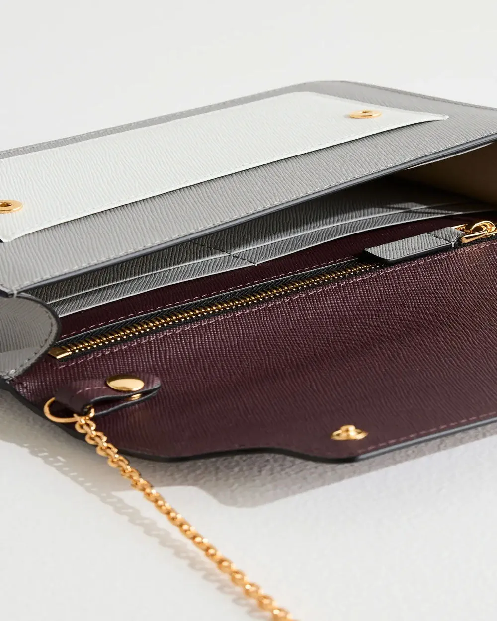 Long Wallet with Chain in Dolphin